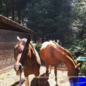 Meet your Posher, Katrina